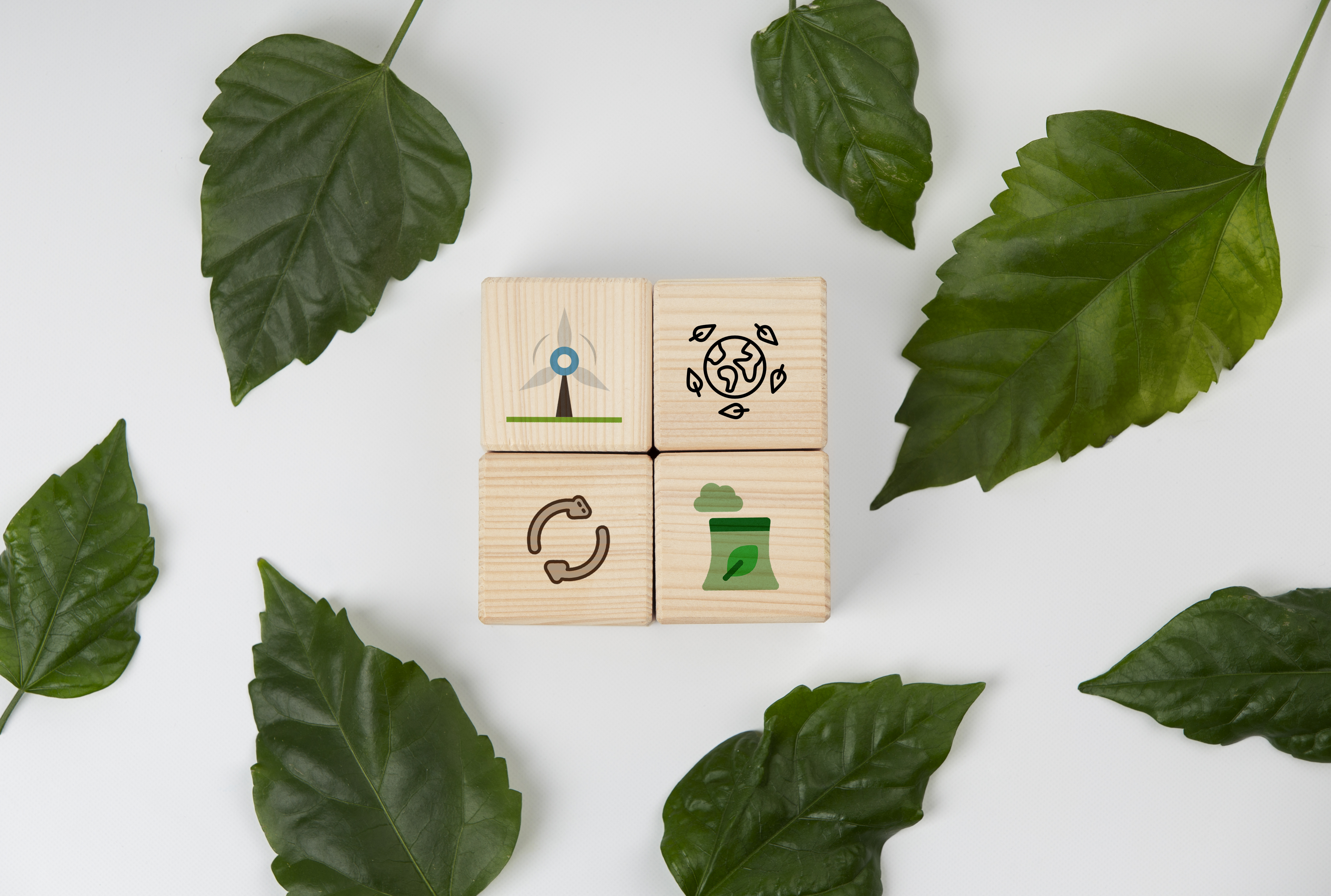 Ecología Evolutiva Del Desarrollo Ecología Evolutiva Del Desarrollo