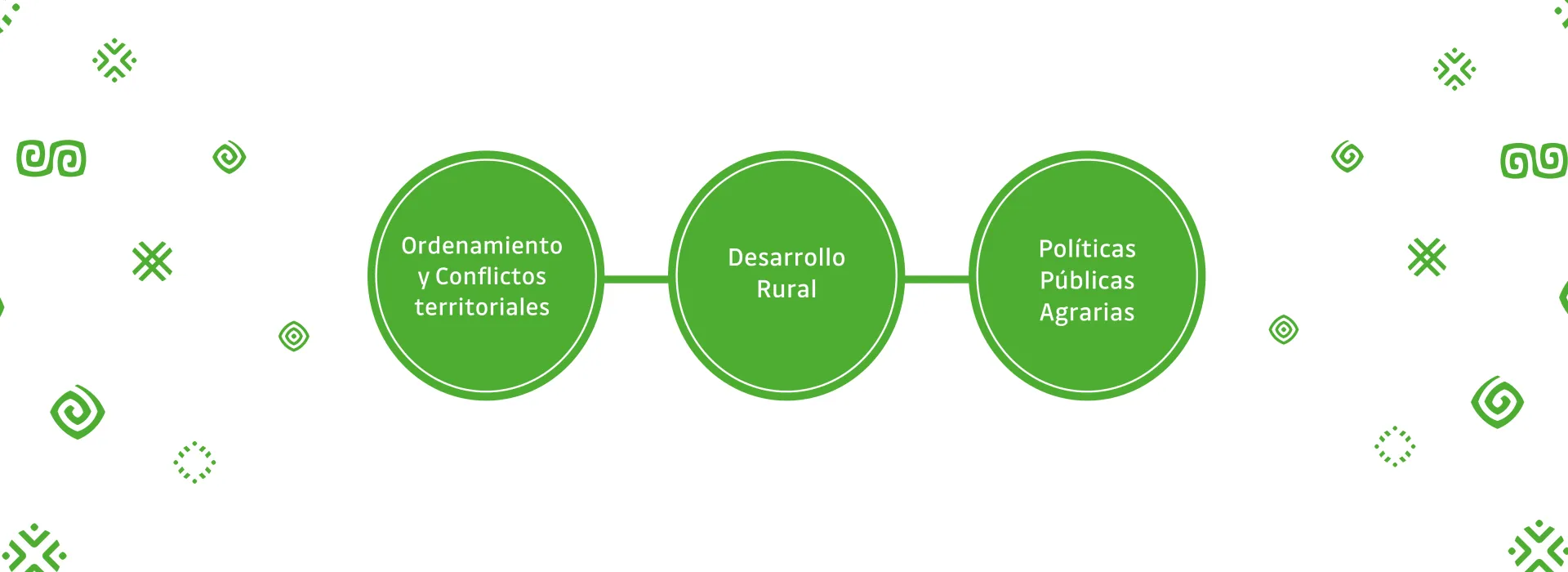 Organigrama Organigrama
