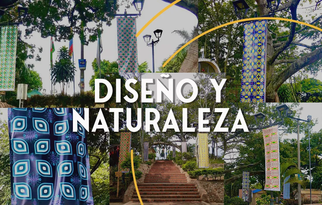 exposición en 2D exposición en 2D