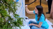 Muralismo y fotografía, una oda a la biodiversidad de la Javeriana Cali que engalana los pasillos del Centro Comercial Jardín Plaza  Muralismo y fotografía, una oda a la biodiversidad de la Javeriana Cali que engalana los pasillos del Centro Comercial Jardín Plaza