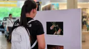 Muralismo y fotografía, una oda a la biodiversidad de la Javeriana Cali que engalana los pasillos del Centro Comercial Jardín Plaza  Muralismo y fotografía, una oda a la biodiversidad de la Javeriana Cali que engalana los pasillos del Centro Comercial Jardín Plaza