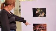 Muralismo y fotografía, una oda a la biodiversidad de la Javeriana Cali que engalana los pasillos del Centro Comercial Jardín Plaza  Muralismo y fotografía, una oda a la biodiversidad de la Javeriana Cali que engalana los pasillos del Centro Comercial Jardín Plaza