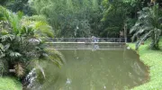 Gobernanza público-comunitaria, la clave para la protección de los humedales urbanos  Gobernanza público-comunitaria, la clave para la protección de los humedales urbanos