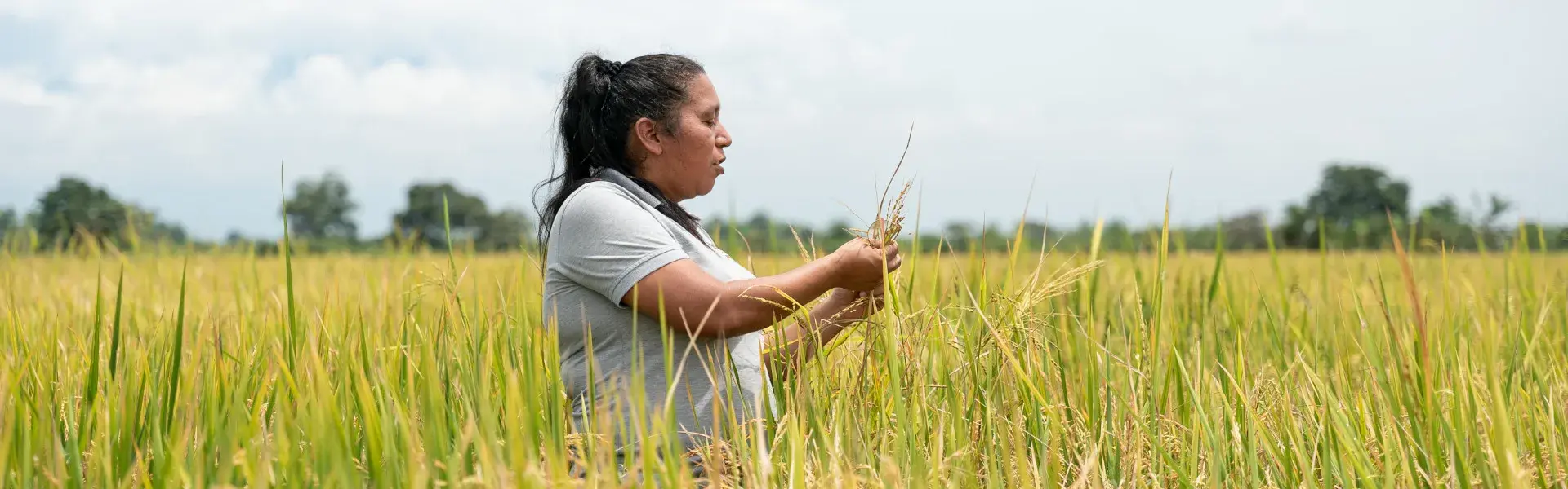 Mujer rural