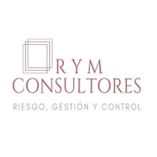 RyM consultores