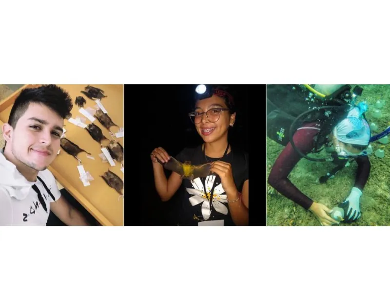 Congreso sobre Murciélagos en Twitter WBTC1 Congreso sobre Murciélagos en Twitter WBTC1