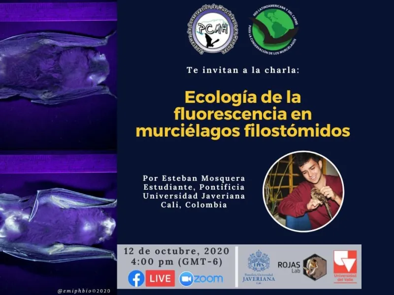 Congreso sobre murciélagos Congreso sobre murciélagos