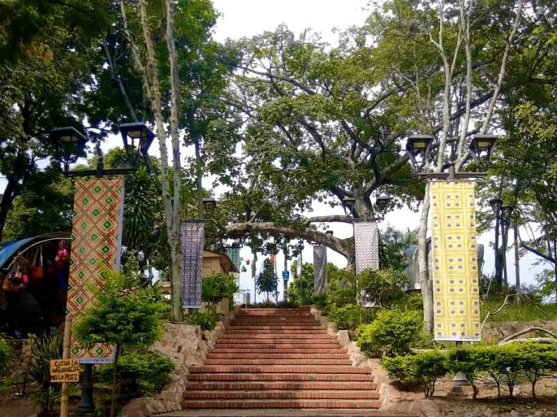 exposición en 2D exposición en 2D