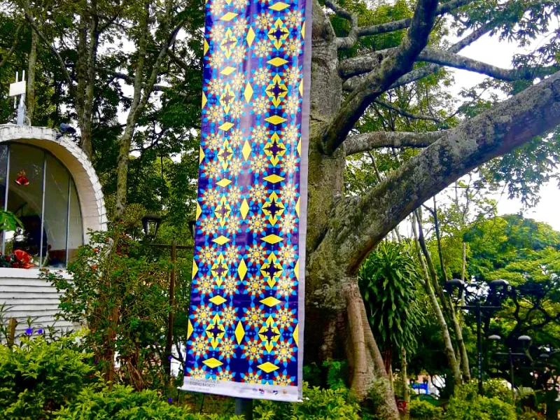 exposición en 2D exposición en 2D