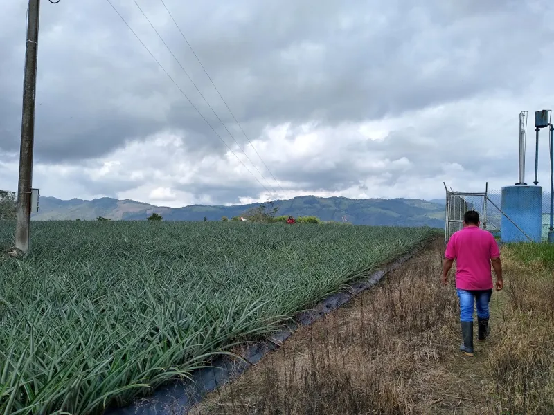 Acceso a Tanque Acuapaltres Restrepo Acceso a Tanque Acuapaltres Restrepo