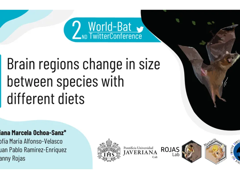 Estudiante de Biología participa por segundo año consecutivo en Congreso Internacional sobre murciélagos Estudiante de Biología participa por segundo año consecutivo en Congreso Internacional sobre murciélagos