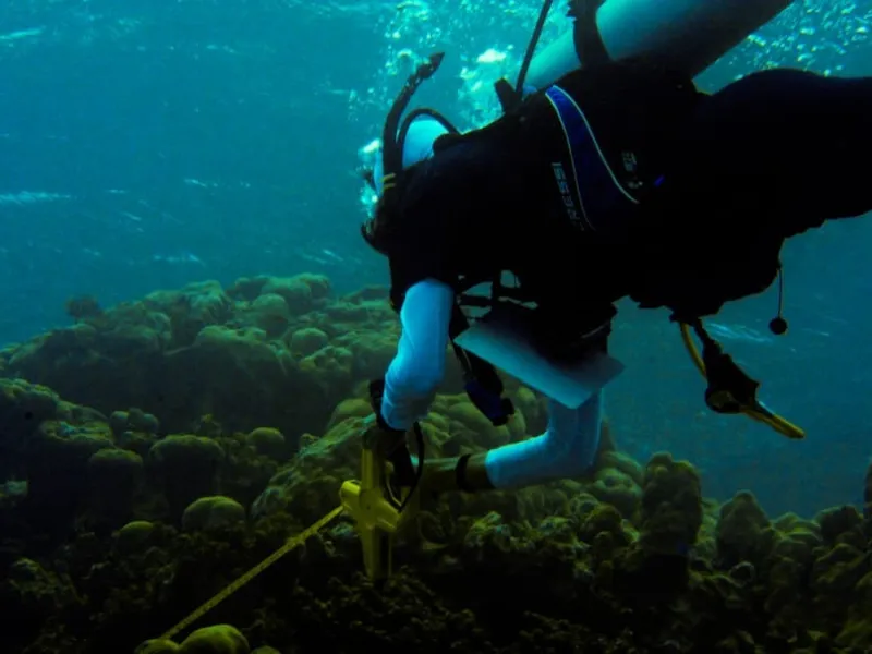 Salidas de campo Biología Salidas de campo Biología