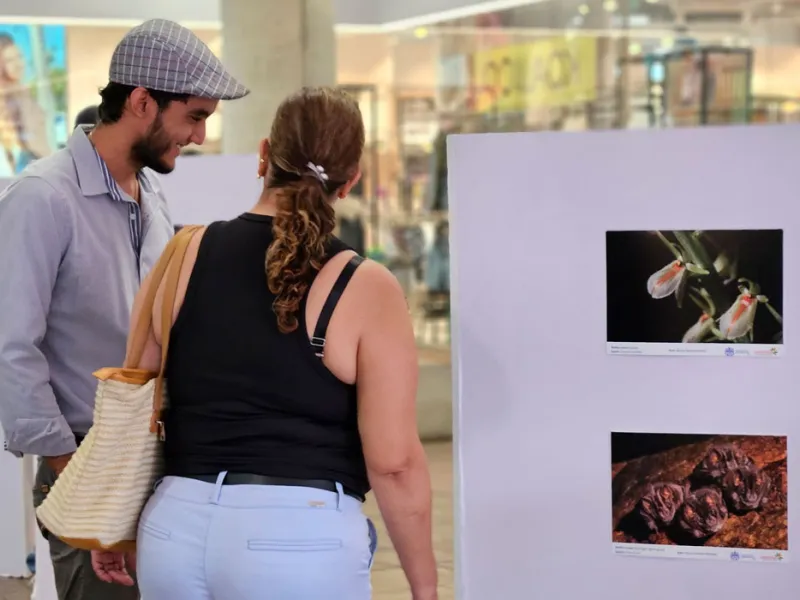 Muralismo y fotografía, una oda a la biodiversidad de la Javeriana Cali que engalana los pasillos del Centro Comercial Jardín Plaza  Muralismo y fotografía, una oda a la biodiversidad de la Javeriana Cali que engalana los pasillos del Centro Comercial Jardín Plaza