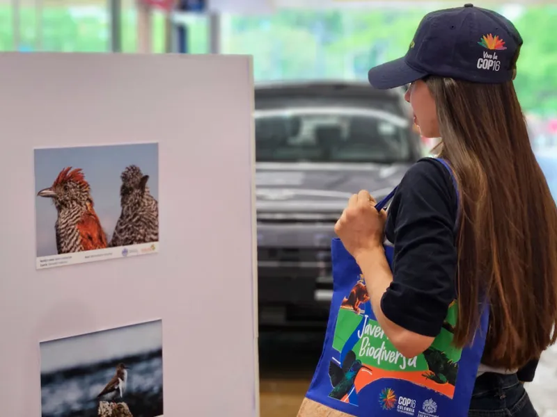 Muralismo y fotografía, una oda a la biodiversidad de la Javeriana Cali que engalana los pasillos del Centro Comercial Jardín Plaza  Muralismo y fotografía, una oda a la biodiversidad de la Javeriana Cali que engalana los pasillos del Centro Comercial Jardín Plaza
