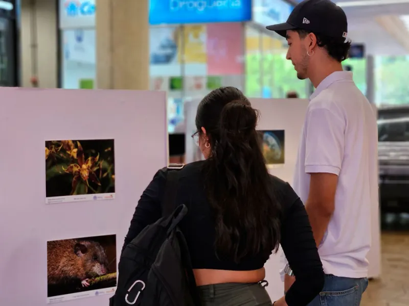 Muralismo y fotografía, una oda a la biodiversidad de la Javeriana Cali que engalana los pasillos del Centro Comercial Jardín Plaza  Muralismo y fotografía, una oda a la biodiversidad de la Javeriana Cali que engalana los pasillos del Centro Comercial Jardín Plaza