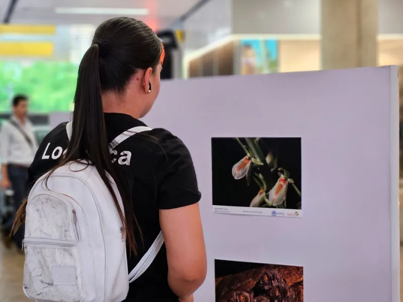 Muralismo y fotografía, una oda a la biodiversidad de la Javeriana Cali que engalana los pasillos del Centro Comercial Jardín Plaza  Muralismo y fotografía, una oda a la biodiversidad de la Javeriana Cali que engalana los pasillos del Centro Comercial Jardín Plaza