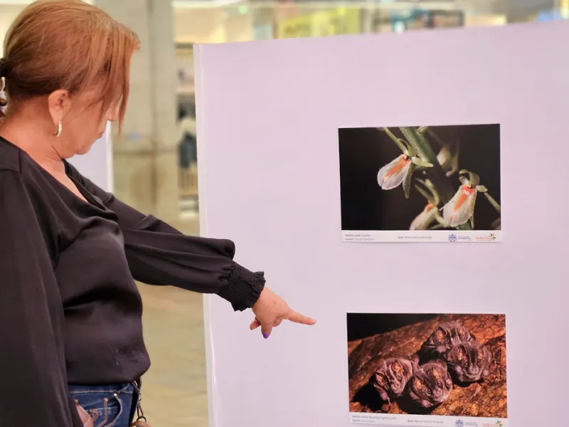Muralismo y fotografía, una oda a la biodiversidad de la Javeriana Cali que engalana los pasillos del Centro Comercial Jardín Plaza  Muralismo y fotografía, una oda a la biodiversidad de la Javeriana Cali que engalana los pasillos del Centro Comercial Jardín Plaza