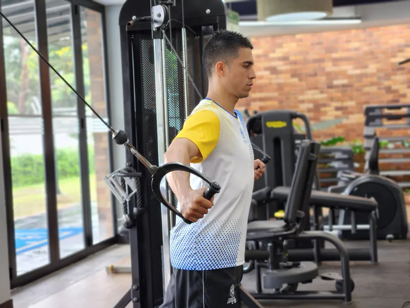 Gimnasio  Gimnasio