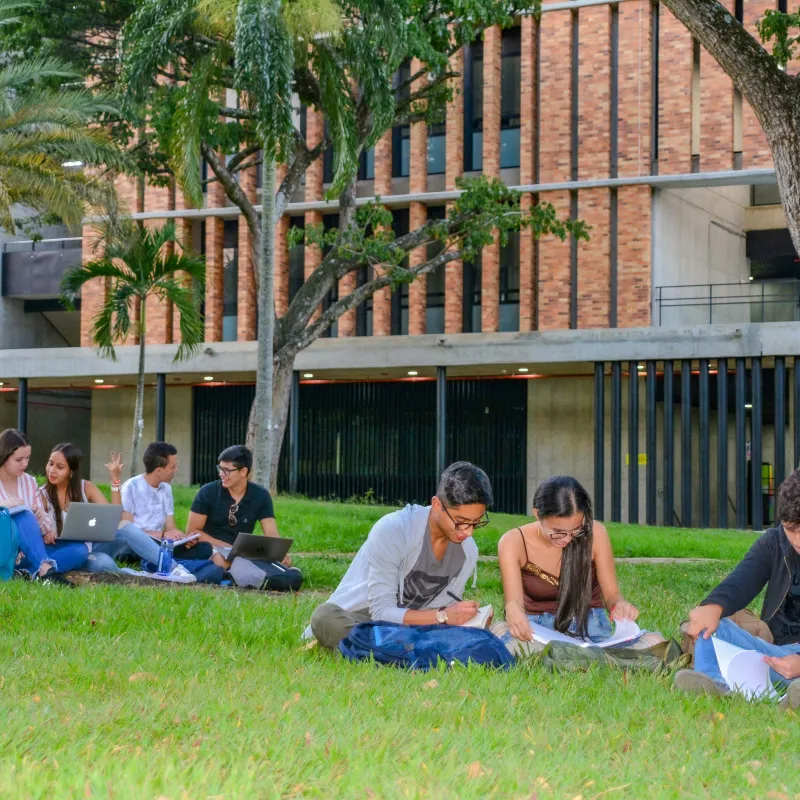 3. Relaciones significativas y alianzas estratégicas 3. Relaciones significativas y alianzas estratégicas