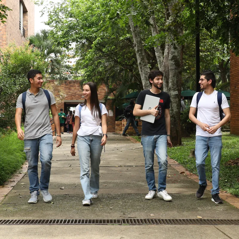 4. Vivir la fraternidad en nuestra casa común 4. Vivir la fraternidad en nuestra casa común
