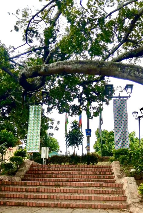 exposición en 2D exposición en 2D