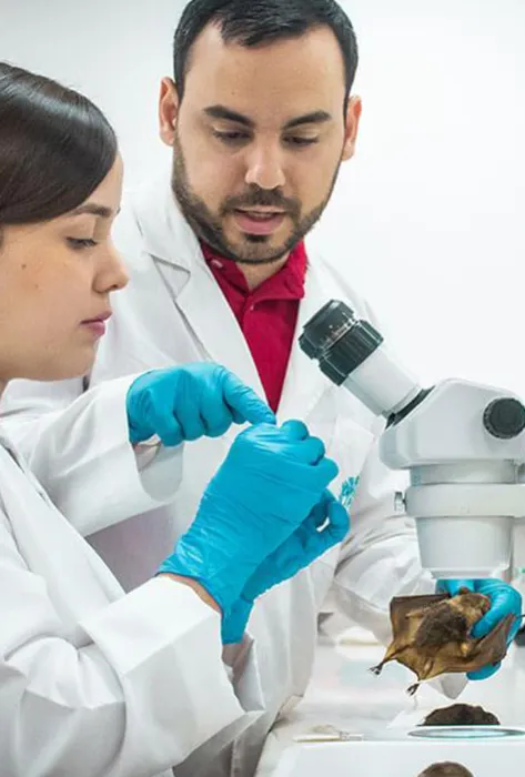 Danny Rojas Martin, profesor de Biología Danny Rojas Martin, profesor de Biología