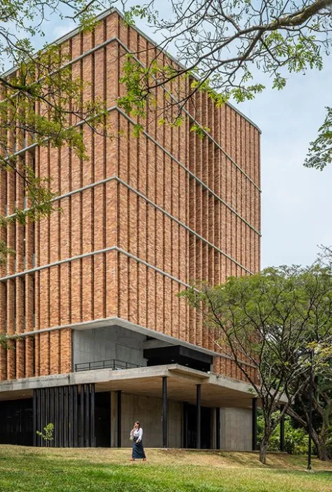 Edificio Cedro Rosado Edificio Cedro Rosado