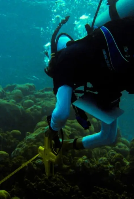 Salidas de campo Biología Expedición Científica Seaflower 2021