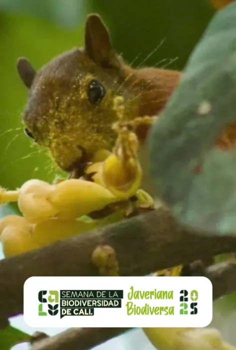 Javeriana Biodiversa 2025 Javeriana Biodiversa 2025