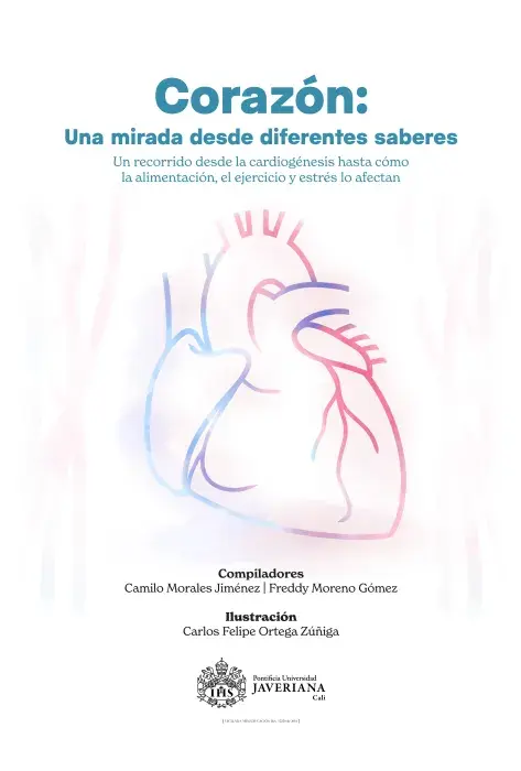 Así nació el libro con el que la Javeriana Cali fortalece la enseñanza del sistema cardiovascular 